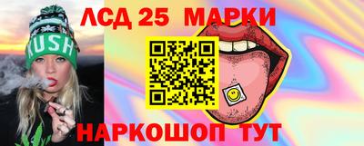 прущие грибы Гатчина