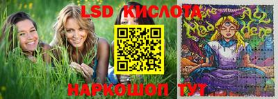 прущие грибы Гатчина