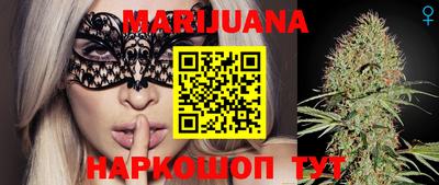 spice Гай