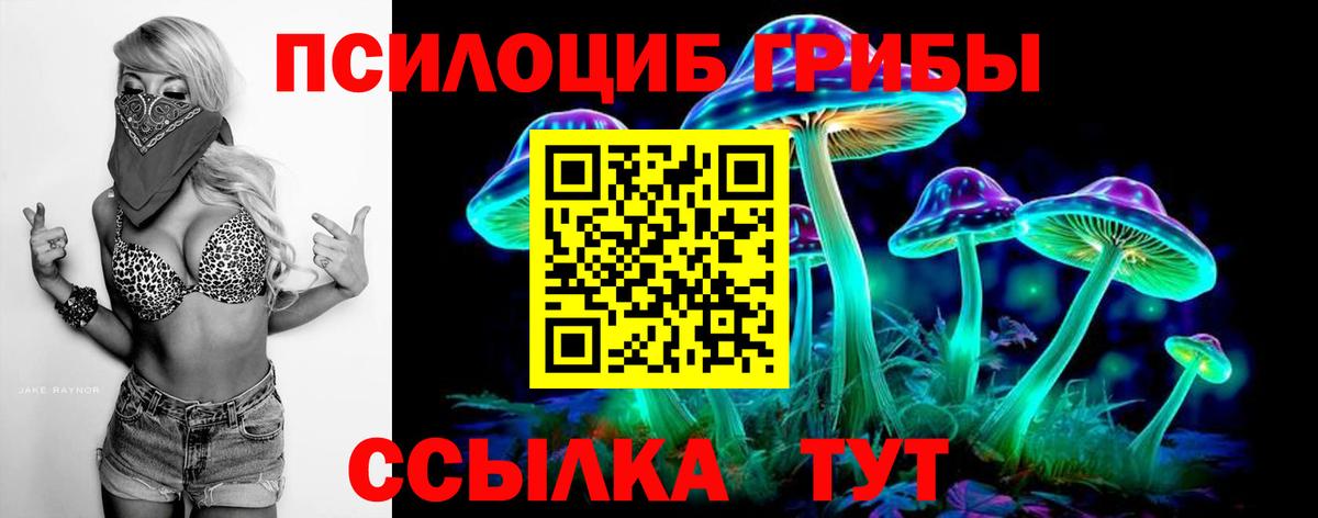 что такое   Псилоцибиновые грибы Psilocybine cubensis  Галлюциногенные грибы Cubensis  Вход с VPN  Отрадный 